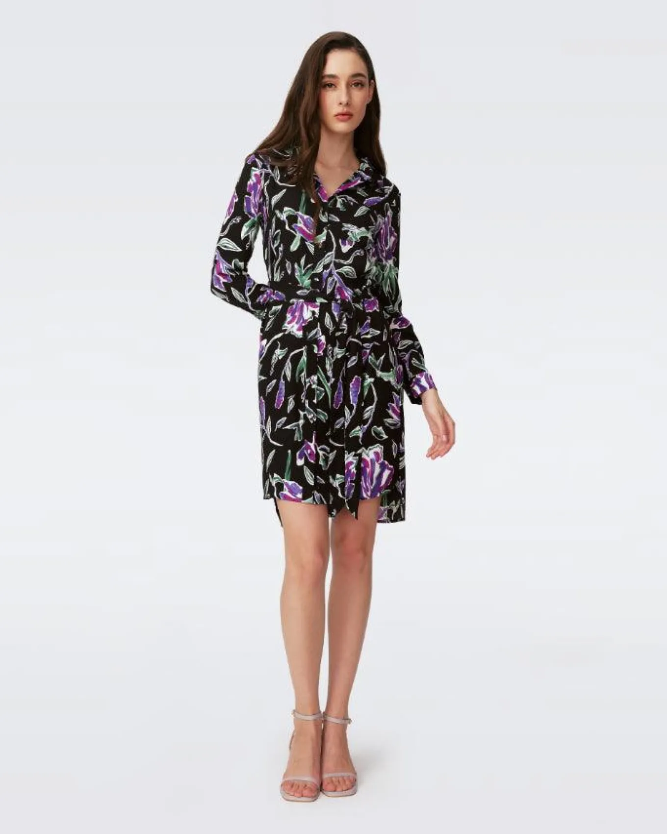 Diane Von Furstenberg Prita Dress