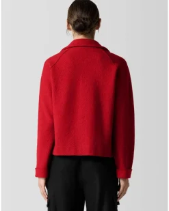 Eileen Fisher Lightweight Boiled Wool Motorcycle Jacket